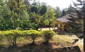 Malnad Bliss